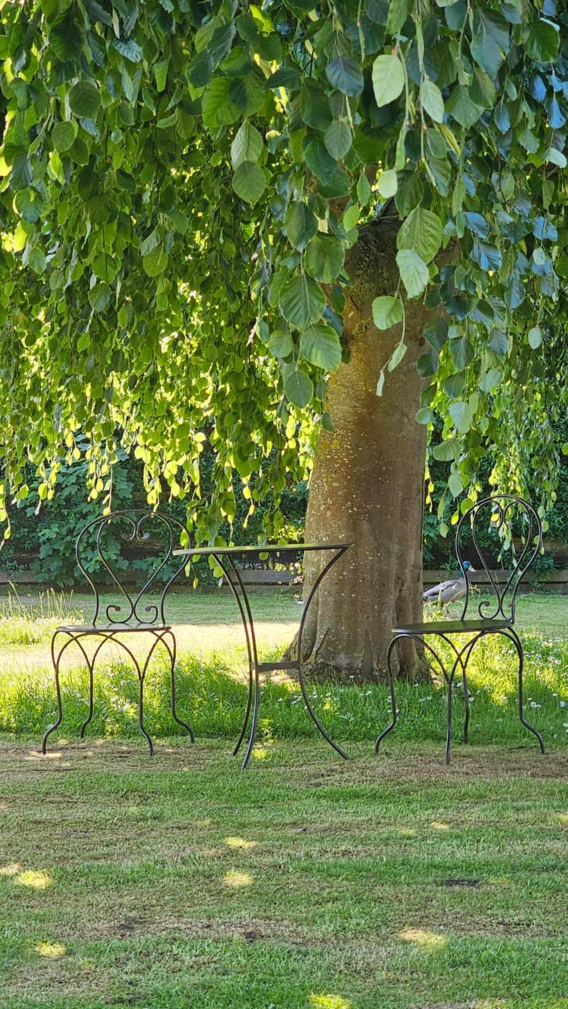 Surforama Studio Apartment Mit Meerblick Und Garten Fehmarn Kültér fotó
